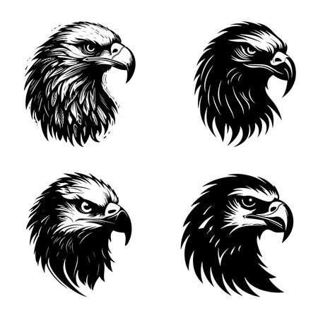 Eagle head set. Vector illustration isolated on a white background.のイラスト素材
