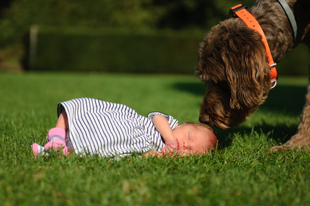 Photo of a baby girl with her big dog next to herの写真素材