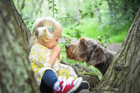 Little girl sitting on the tree  and playing with her dog in the wood on a sunny spring day. Best friends concept. Positive emotions. Outdoor activity and game with family pet on summer holiday.の写真素材