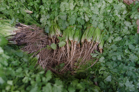 celery roots
