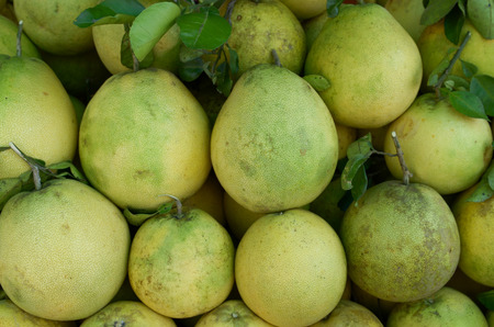grapefruit