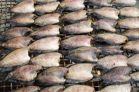 Dried fishsの写真素材