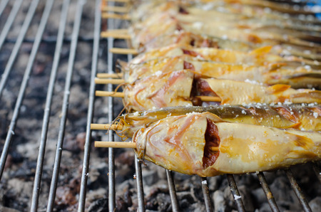 Catfish Grilled,Thai Foodの写真素材