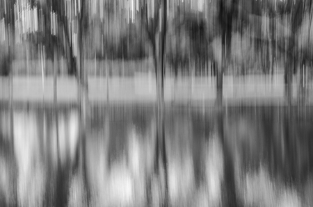 abstract forest in motion blur ,abstract background. black and white