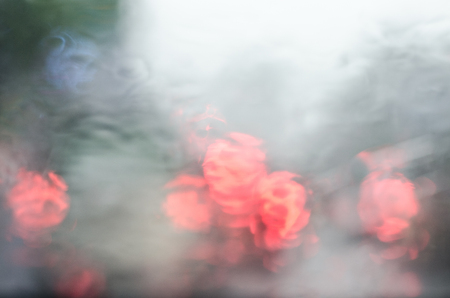 Rain drop in the windowの写真素材