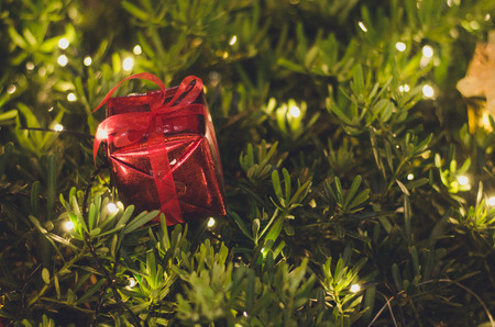 christmas giftbox and light.bokeh  sparkling red ball backgroundの写真素材