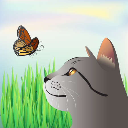 Cat is interesting an orange butterflyのイラスト素材