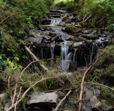 Mountain stream in the woods