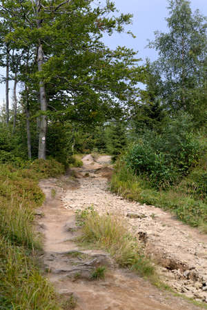 Silesian Beskid, Polandの写真素材