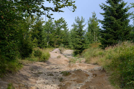 Silesian Beskid, Polandの写真素材