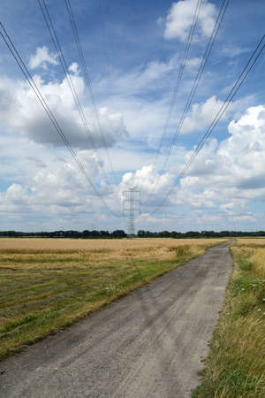 Power cables over the fieldの写真素材