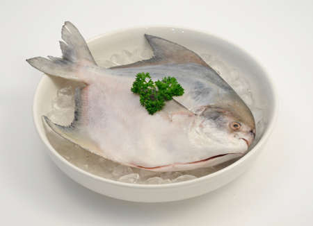 Pomfretの写真素材
