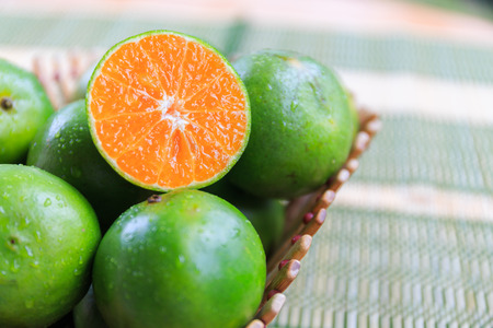 Oranges in the trayの写真素材