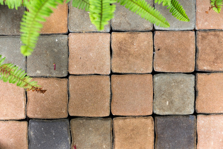 Floor of square brickの写真素材