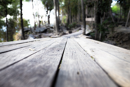Surface of wood walk wayの写真素材