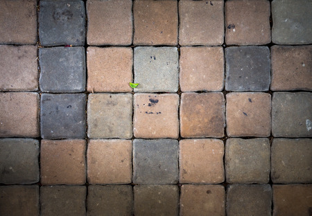 Floor of square brickの写真素材