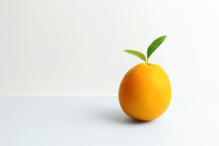 Fresh orange fruit on the table with white background with clipping pathの写真素材