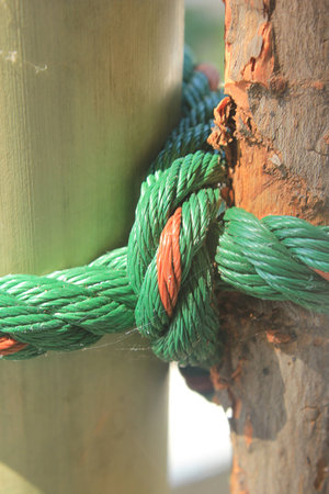 Knot.の写真素材