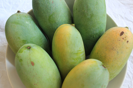 Mangoの写真素材