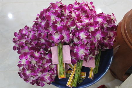 Orchid flowers for the worshipの写真素材