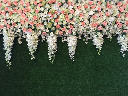 Beautiful Flower on green boardの写真素材