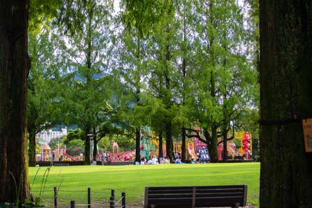 Flowers decorated with interiors (Hatsuyuki Kazura)の写真素材