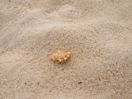 Landscape photos of the beach of Kumejima, a remote island, Okinawa Prefectureの写真素材
