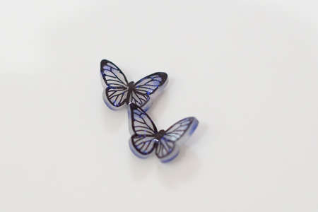 Butterfly accessories made from plastic