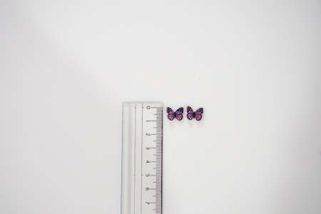 Butterfly accessories made from plastic