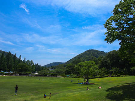 A sunny Japanese park with lots of greeneryの写真素材