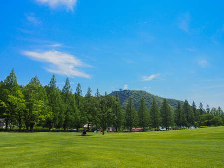 A sunny Japanese park with lots of greeneryの写真素材