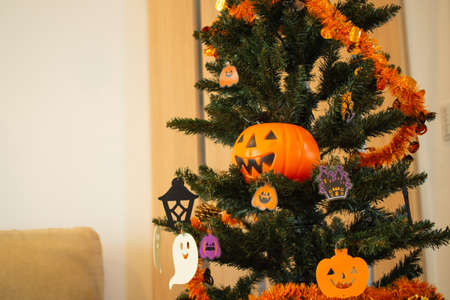 Halloween party and decorated tree at home in Japanの写真素材