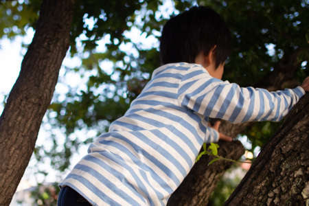 Sky and vegetation taken in the evening timeの写真素材