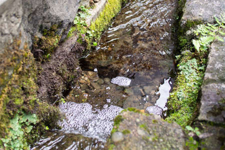 A very beautiful river in Gujo City, Gifu Prefectureの写真素材
