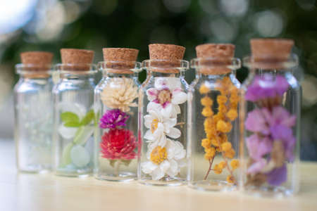 Stock Photos: Dried flowers and preserved flowersの写真素材
