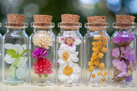 Stock Photos: Dried flowers and preserved flowersの写真素材