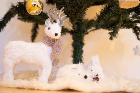 Reindeer, hedgehog and squirrel under the Christmas treeの写真素材