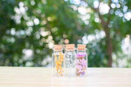 Stock Photos: Dried flowers and preserved flowersの写真素材