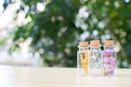 Stock Photos: Dried flowers and preserved flowersの写真素材