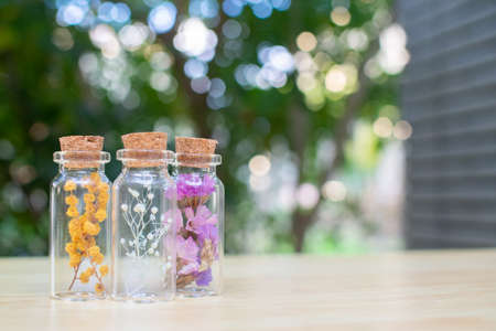 Stock Photos: Dried flowers and preserved flowers