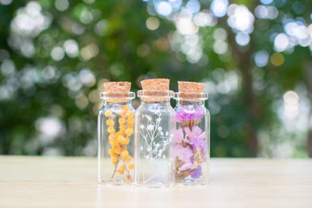 Stock Photos: Dried flowers and preserved flowersの写真素材