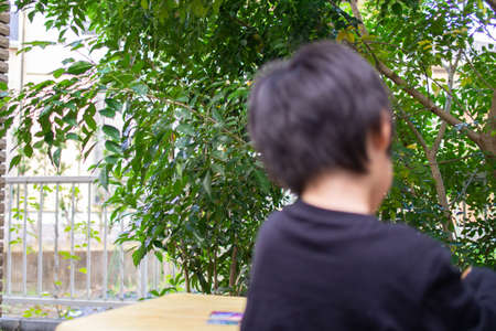 Japanese children playing in a garden with Griffith's ash treesの写真素材