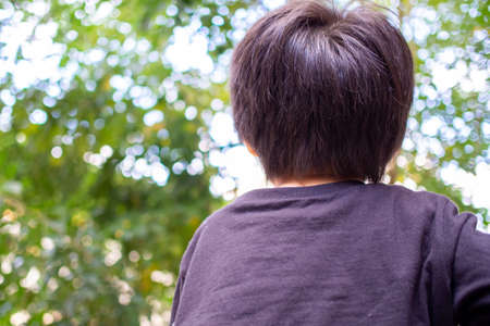 Japanese children playing in a garden with Griffith's ash treesの写真素材