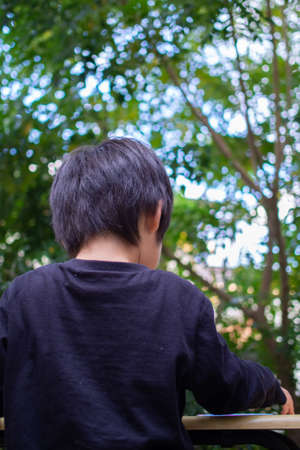 Japanese children playing in a garden with Griffith's ash treesの写真素材