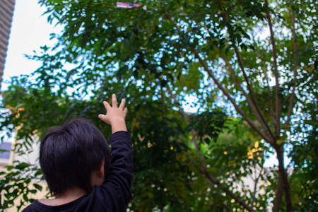 Japanese children playing in a garden with Griffith's ash treesの写真素材