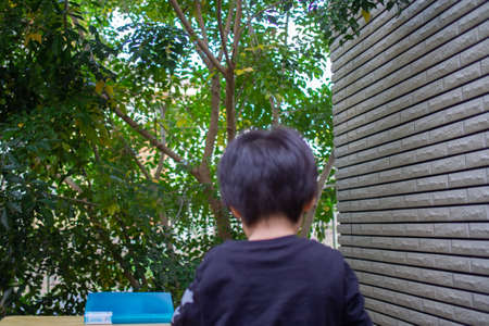 Japanese children playing in a garden with Griffith's ash treesの写真素材