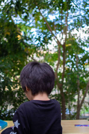 Japanese children playing in a garden with Griffith's ash treesの写真素材