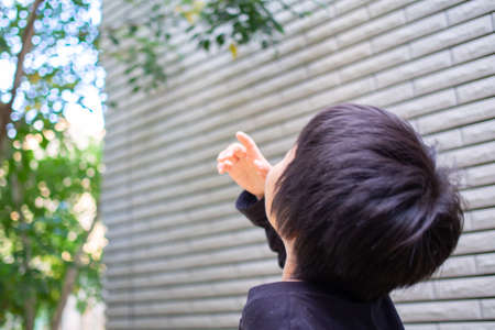 Japanese children playing in a garden with Griffith's ash treesの写真素材