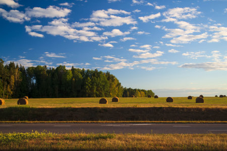 A strip of asphalt gives way to a meadow on which stacks of freshly cut hay, and behind them a...