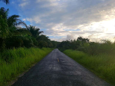 Meadow with road